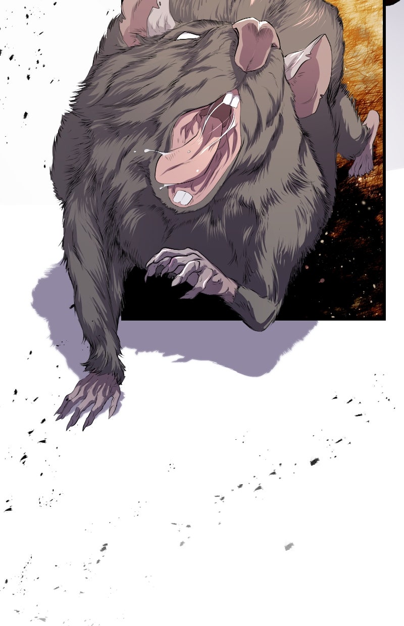 Read KESTREL - Der Vogel im Käfig Manga Online