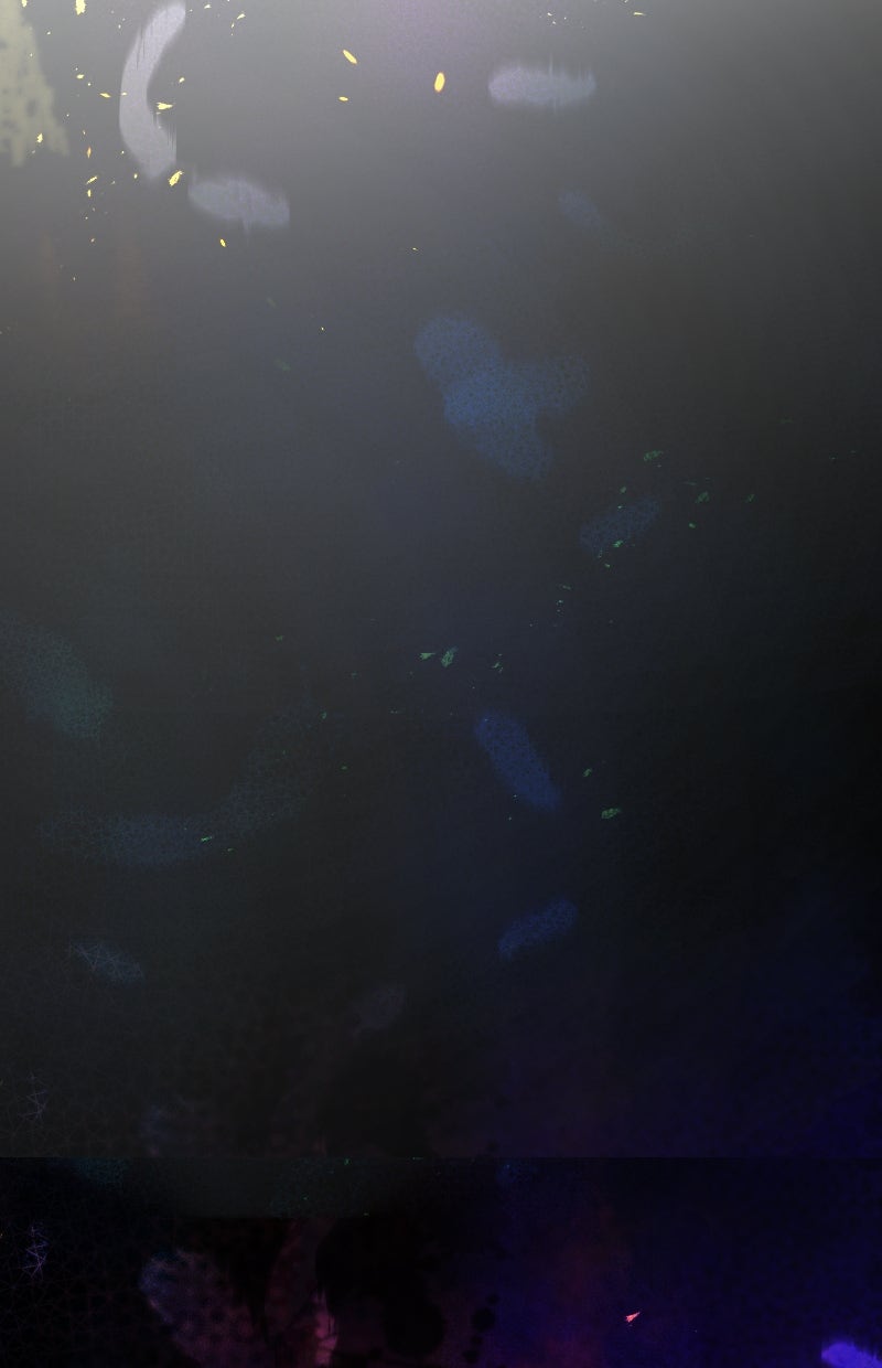 Read KESTREL - Der Vogel im Käfig Manga Online