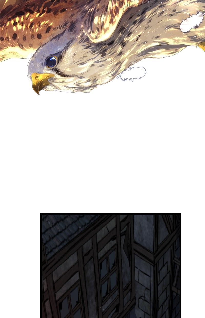 Read KESTREL - Der Vogel im Käfig Manga Online