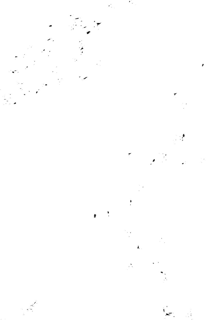 Read KESTREL - Der Vogel im Käfig Manga Online