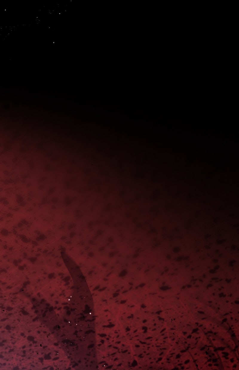 Read KESTREL - Der Vogel im Käfig Manga Online