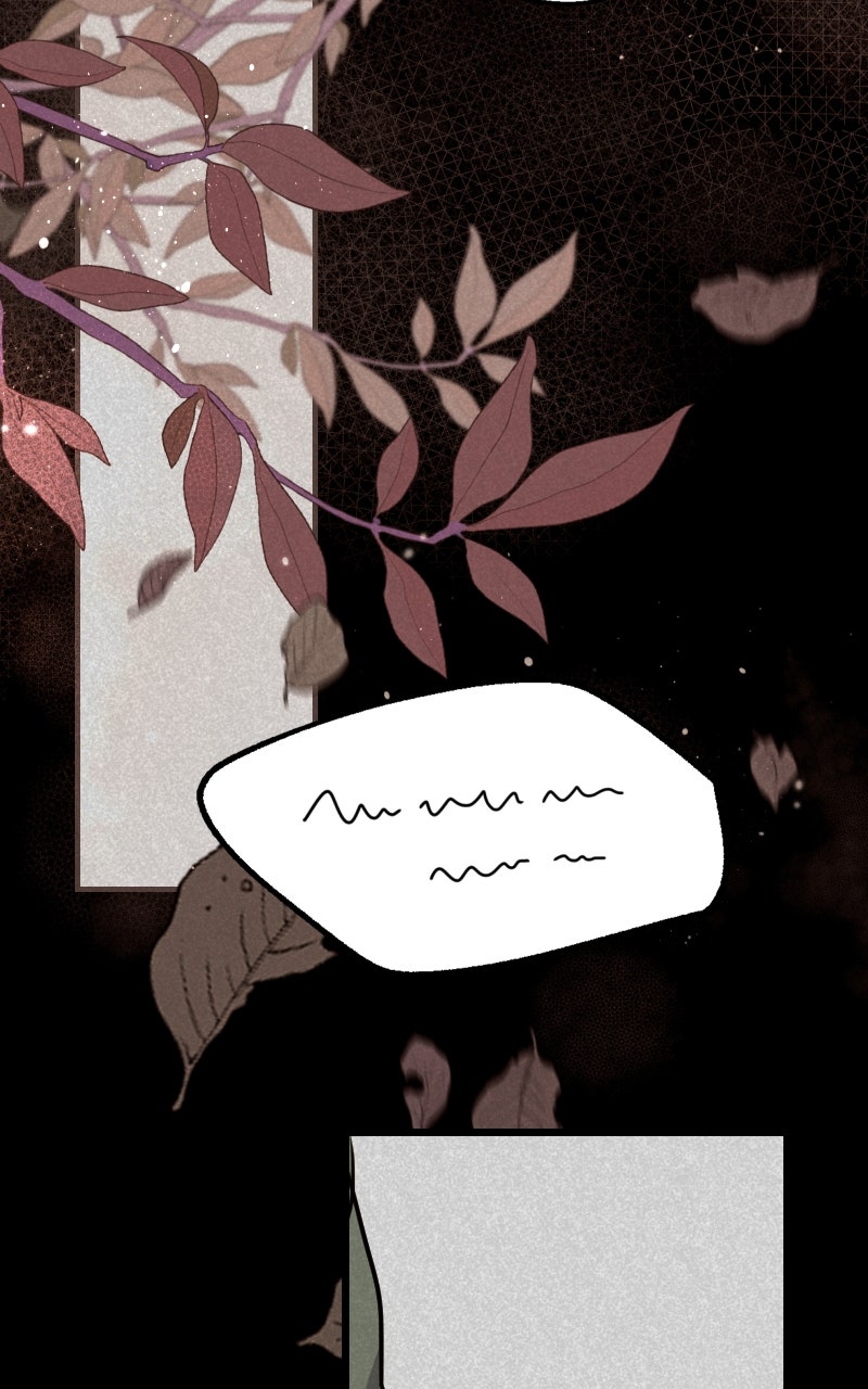 Read KESTREL - Der Vogel im Käfig Manga Online