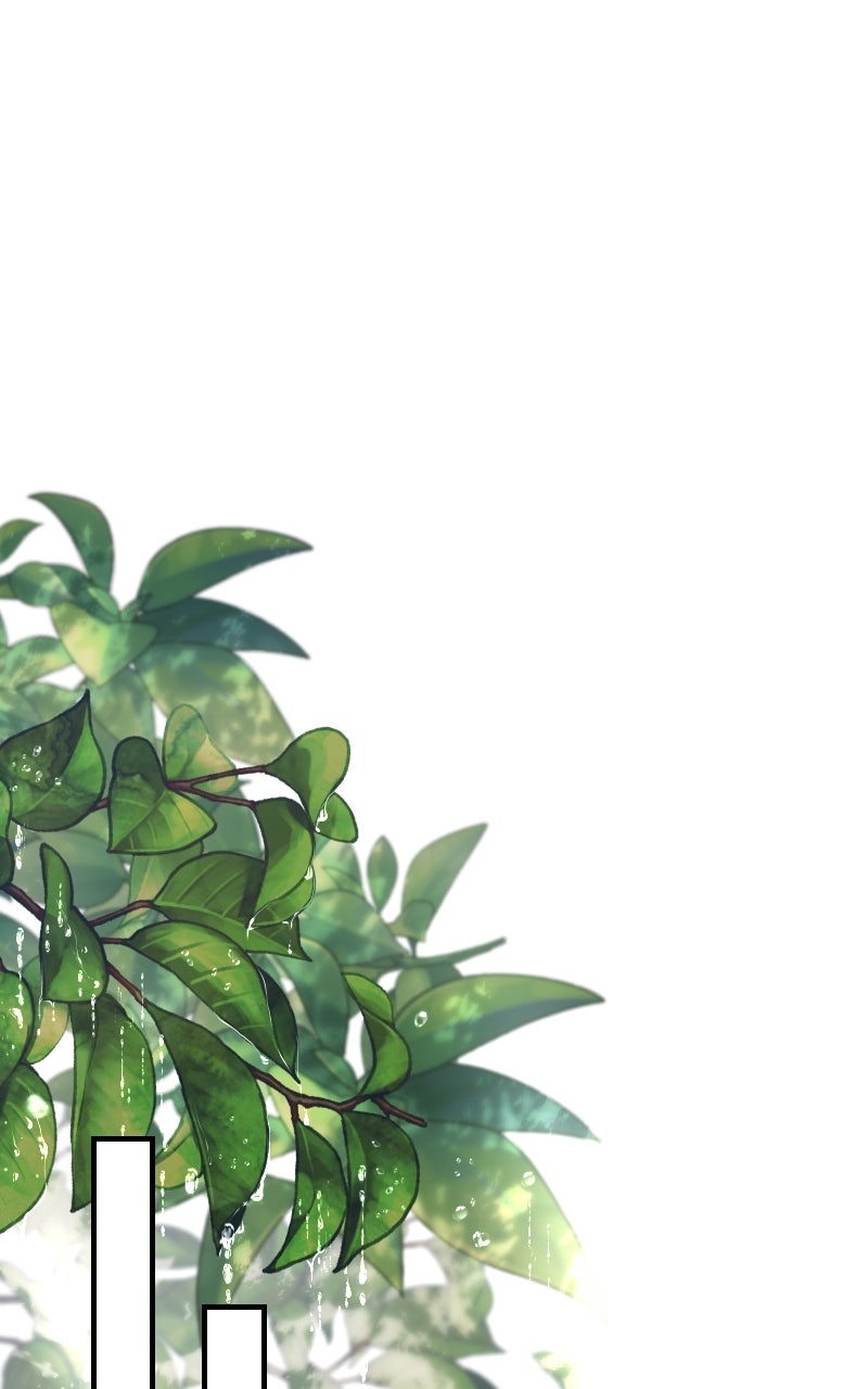 Read KESTREL - Der Vogel im Käfig Manga Online