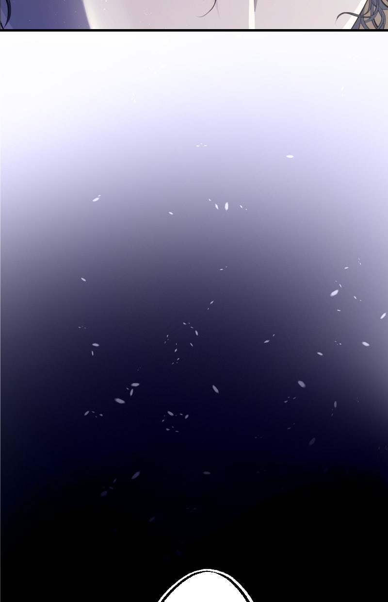 Read KESTREL - Der Vogel im Käfig Manga Online