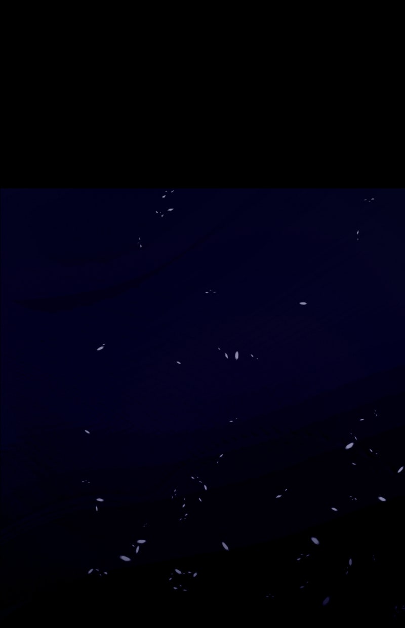 Read KESTREL - Der Vogel im Käfig Manga Online