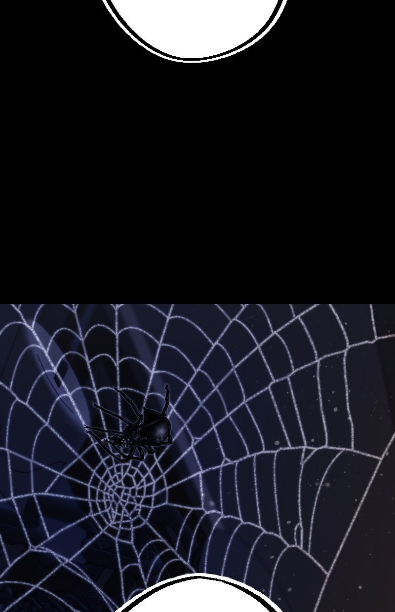 Read KESTREL - Der Vogel im Käfig Manga Online