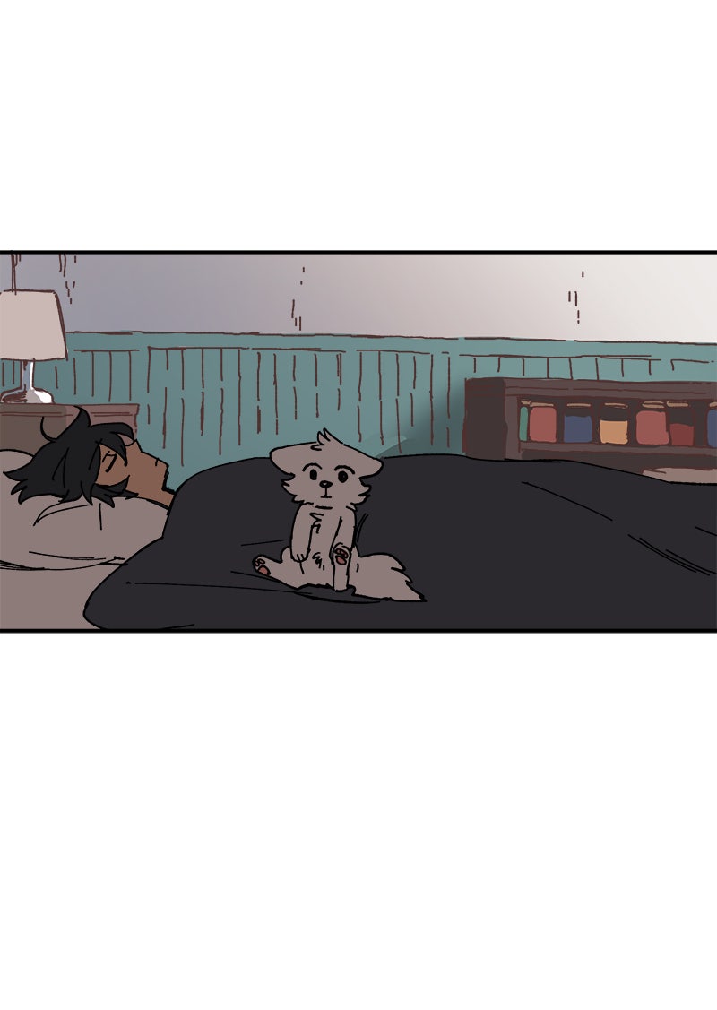 Read LUMINE Manga Online