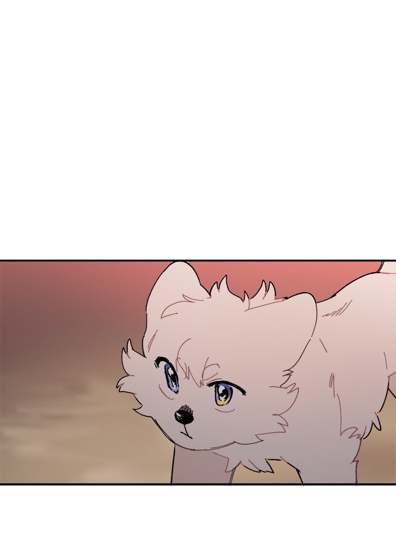 Read LUMINE Manga Online