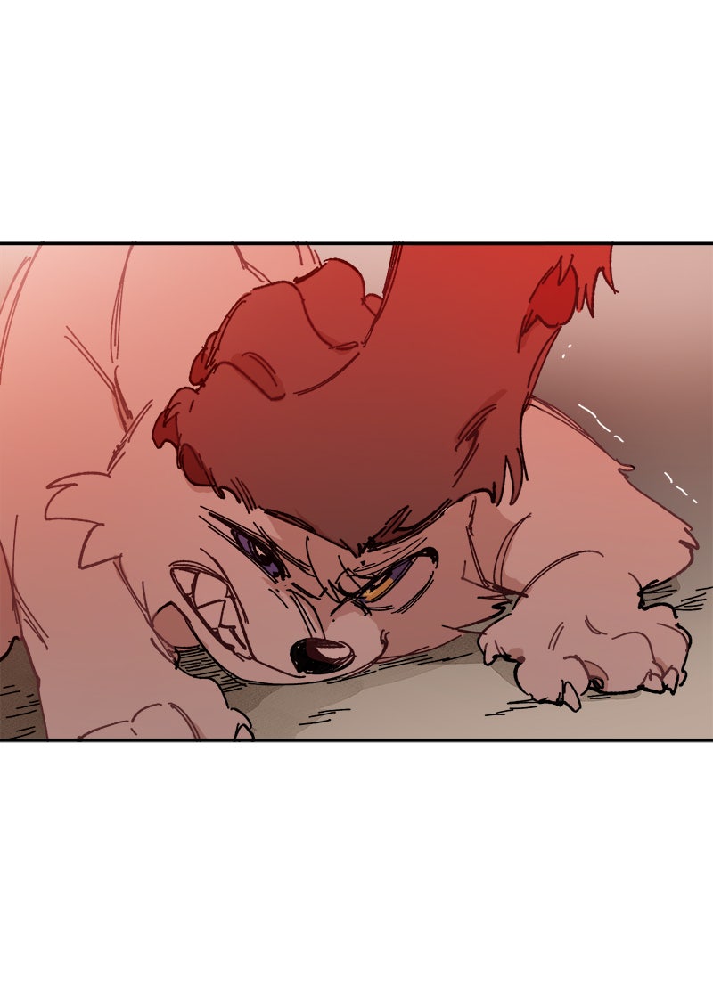 Read LUMINE Manga Online