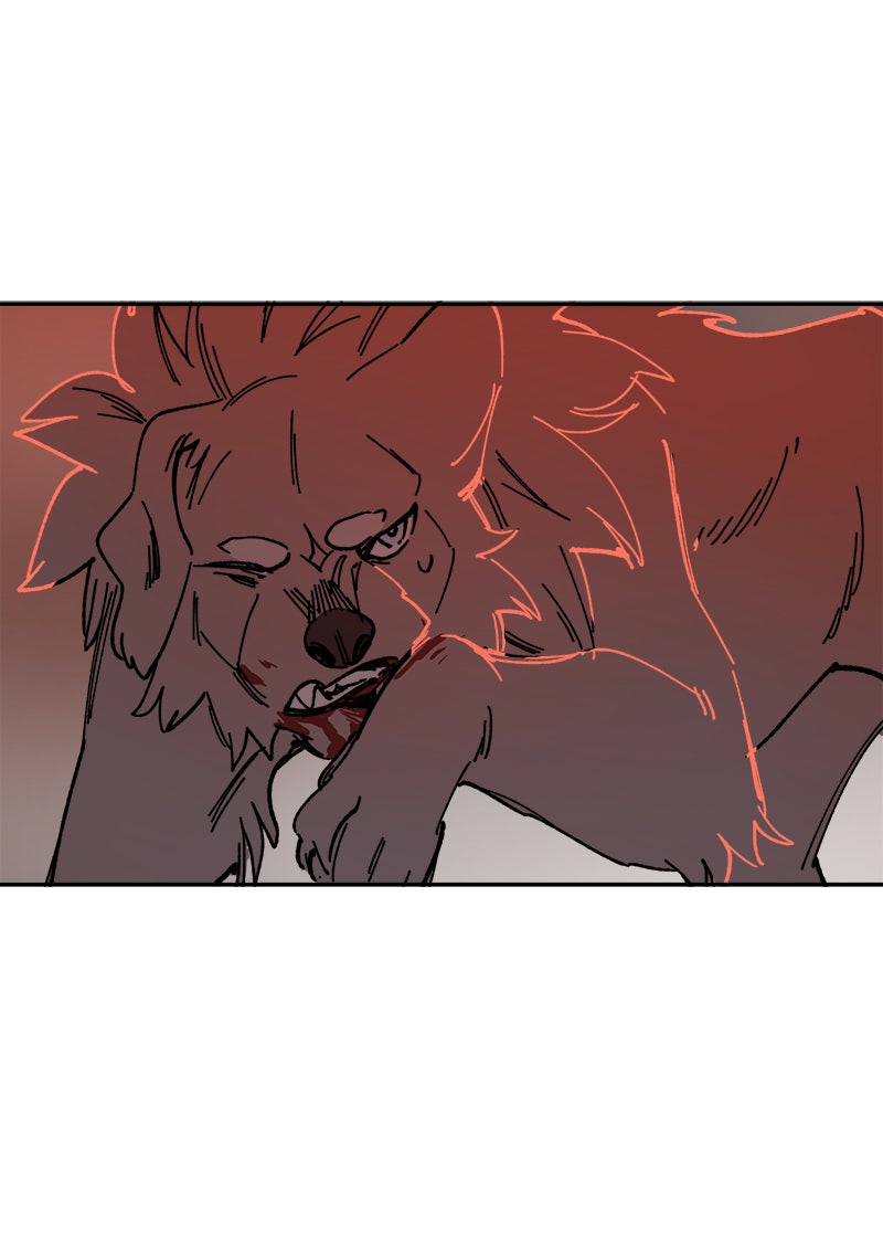 Read LUMINE Manga Online