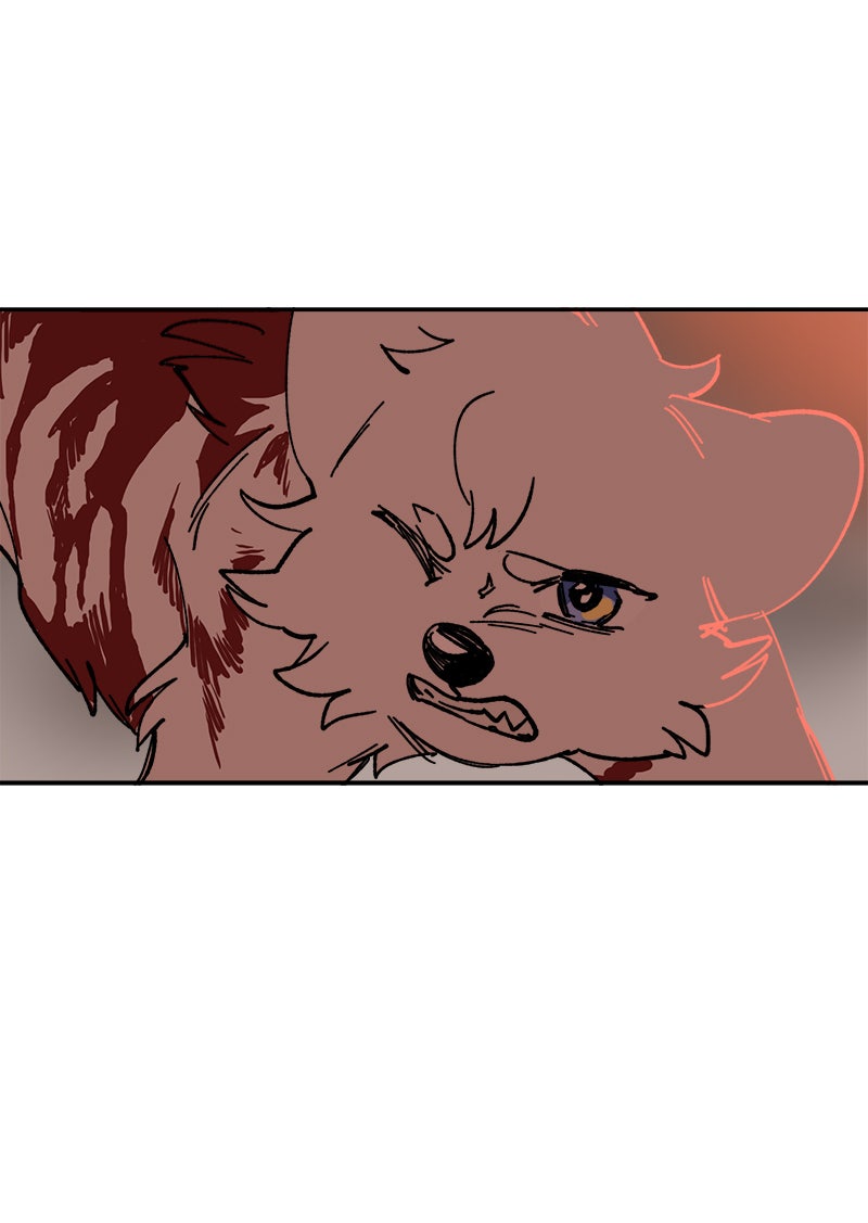 Read LUMINE Manga Online