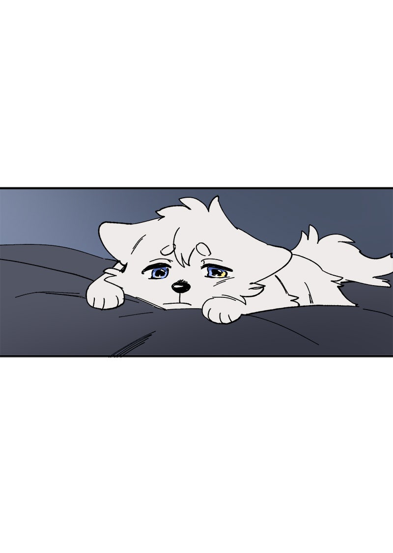 Read LUMINE Manga Online