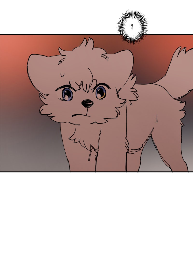 Read LUMINE Manga Online