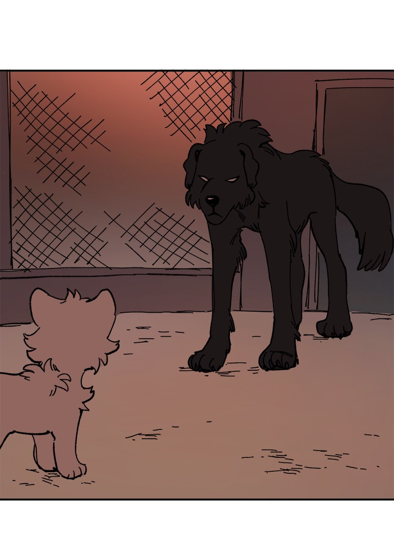 Read LUMINE Manga Online