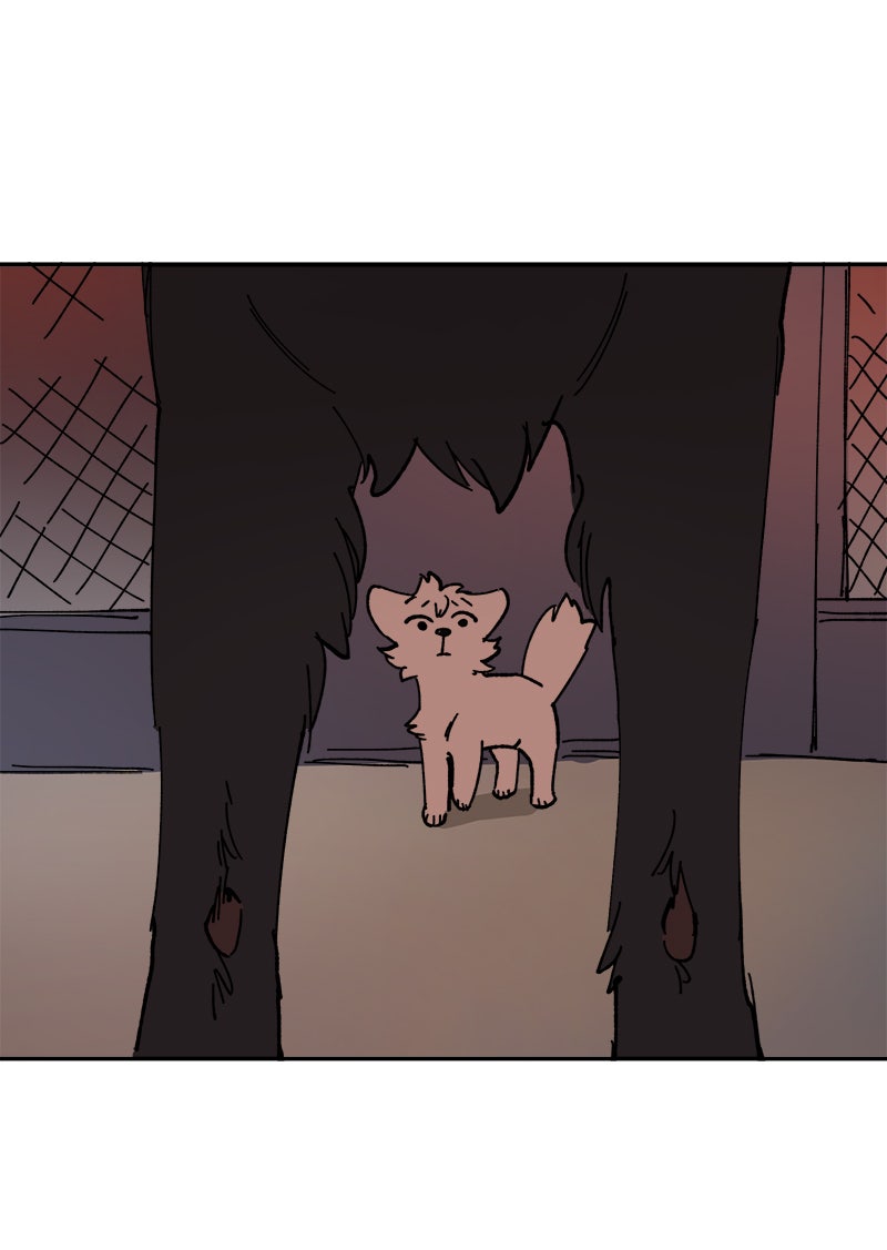 Read LUMINE Manga Online