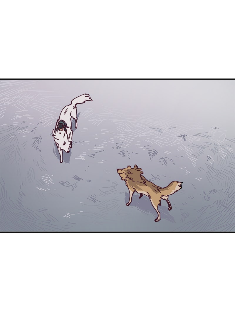 Read LUMINE Manga Online