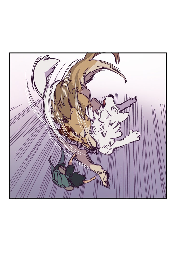 Read LUMINE Manga Online