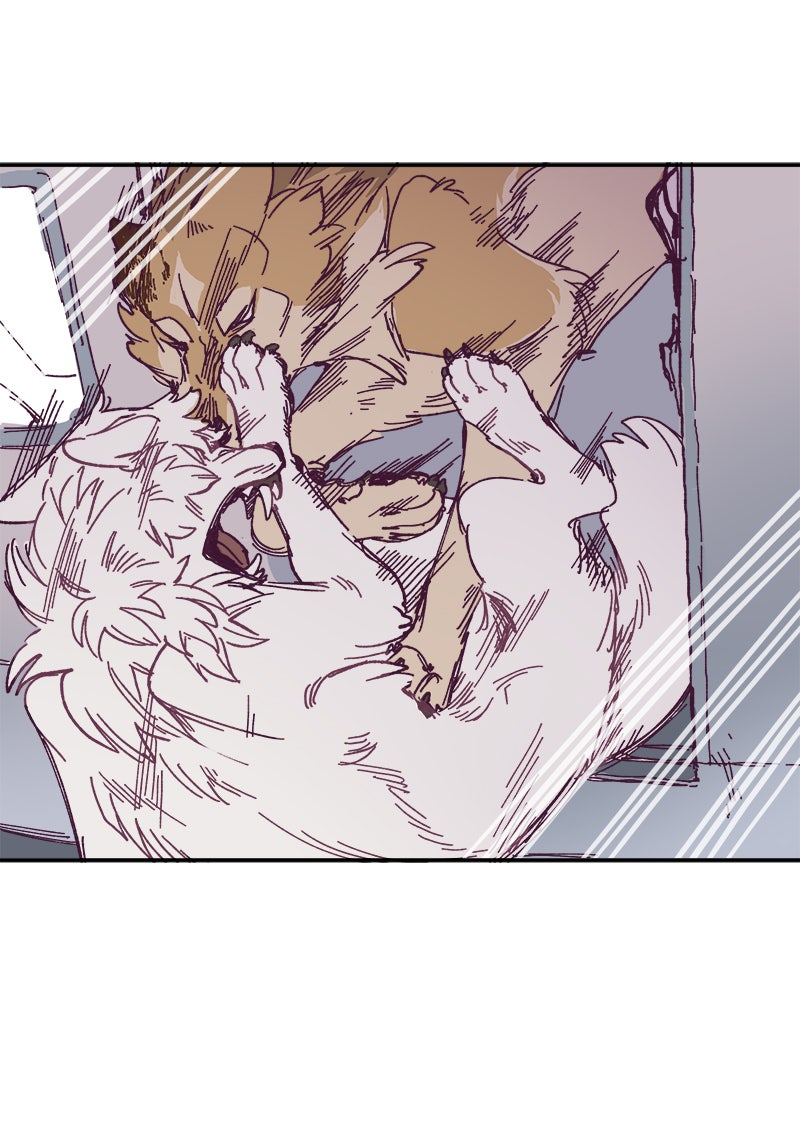 Read LUMINE Manga Online