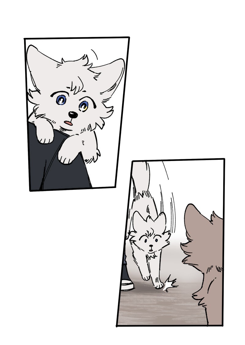 Read LUMINE Manga Online