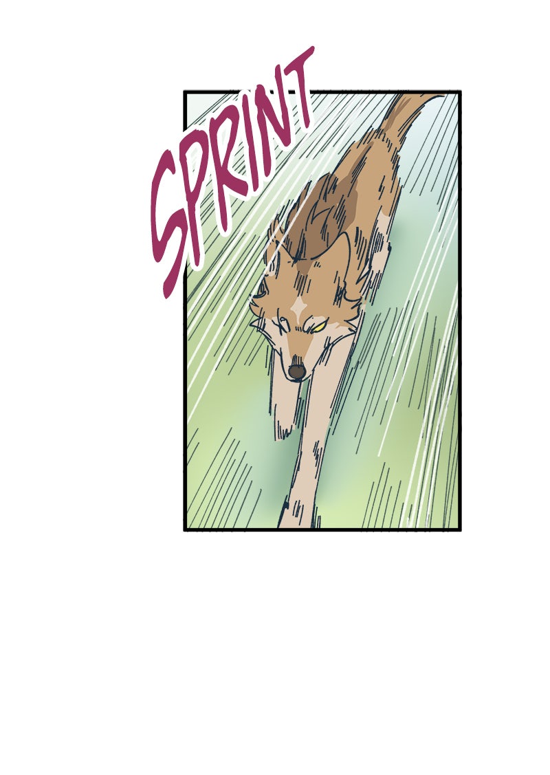 Read LUMINE Manga Online