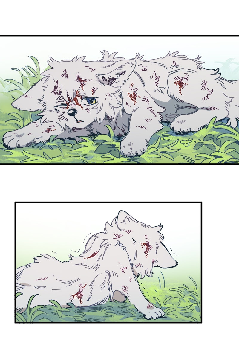 Read LUMINE Manga Online