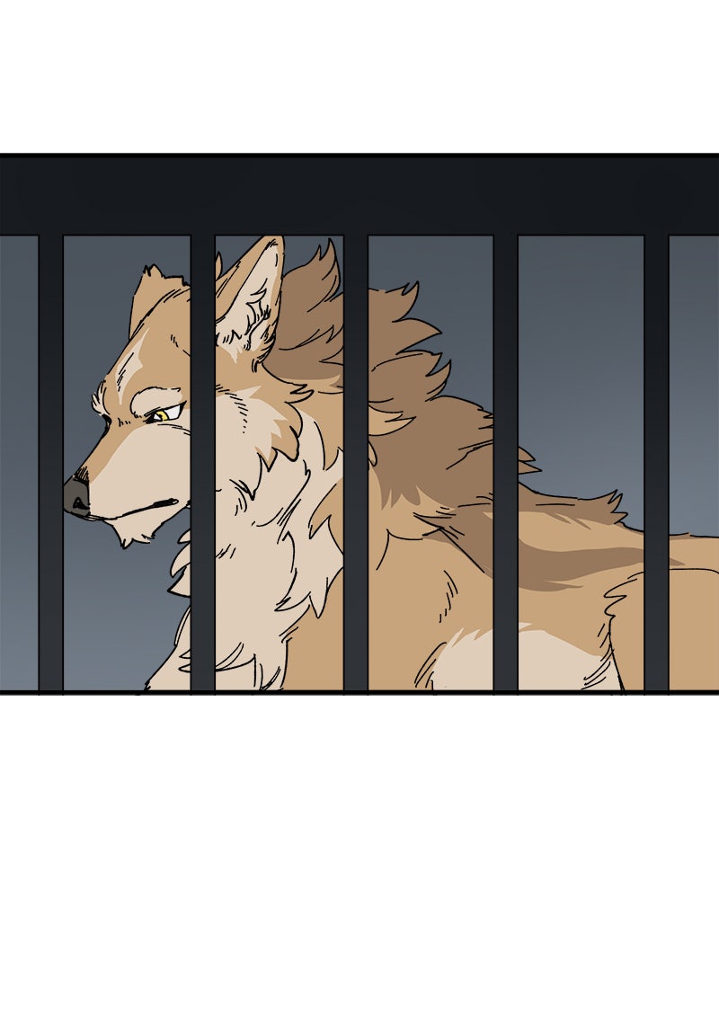 Read LUMINE Manga Online