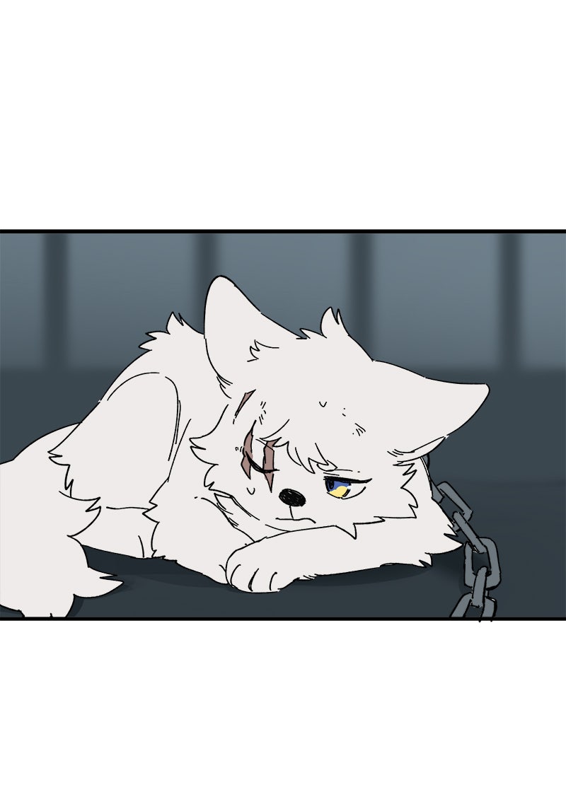 Read LUMINE Manga Online