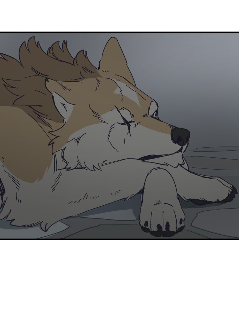 Read LUMINE Manga Online