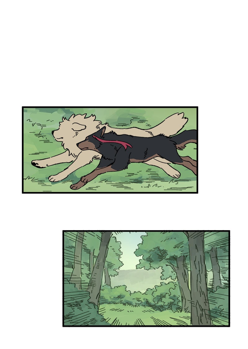 Read LUMINE Manga Online