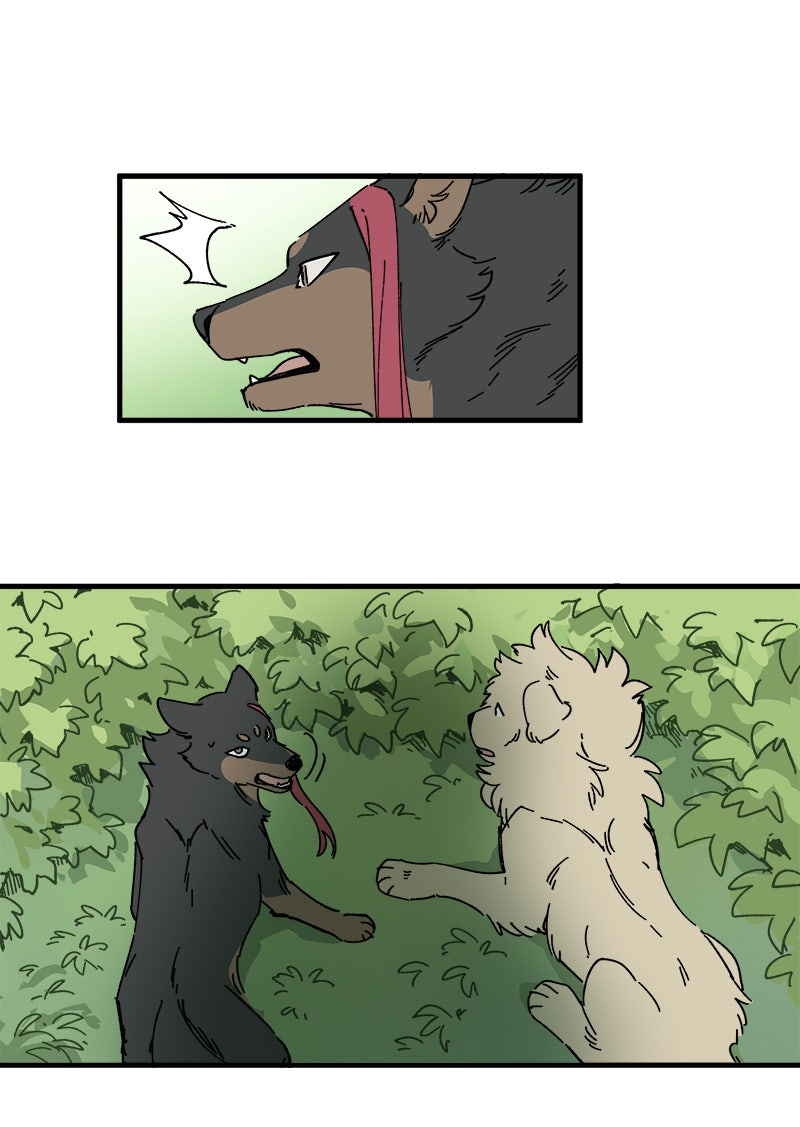 Read LUMINE Manga Online