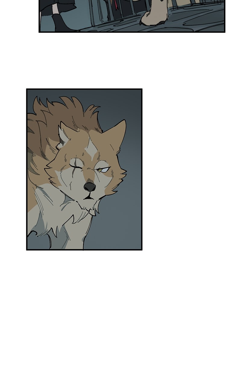 Read LUMINE Manga Online