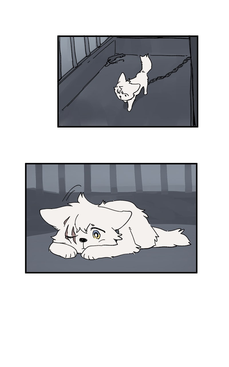 Read LUMINE Manga Online