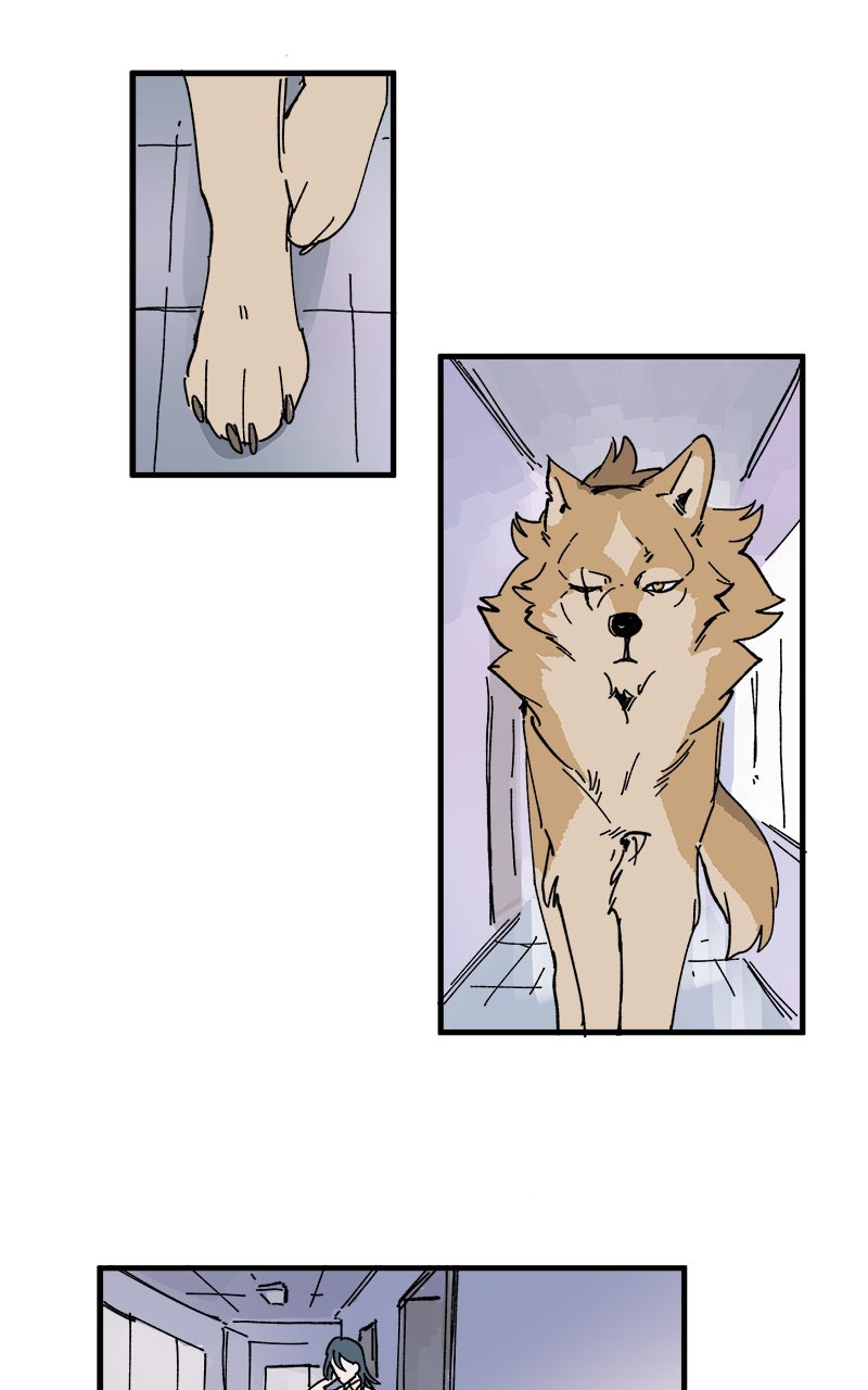 Read LUMINE Manga Online