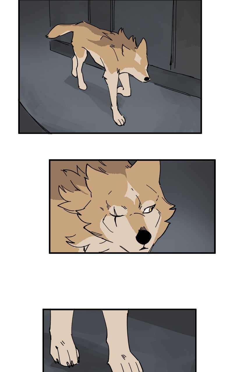 Read LUMINE Manga Online