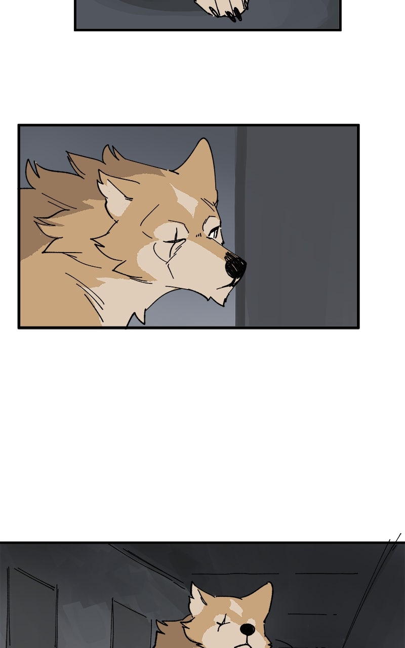 Read LUMINE Manga Online