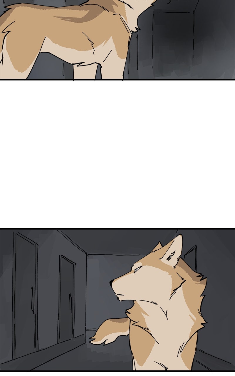 Read LUMINE Manga Online