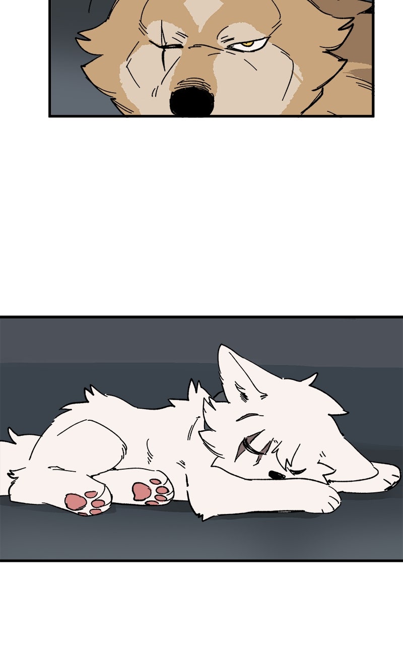 Read LUMINE Manga Online