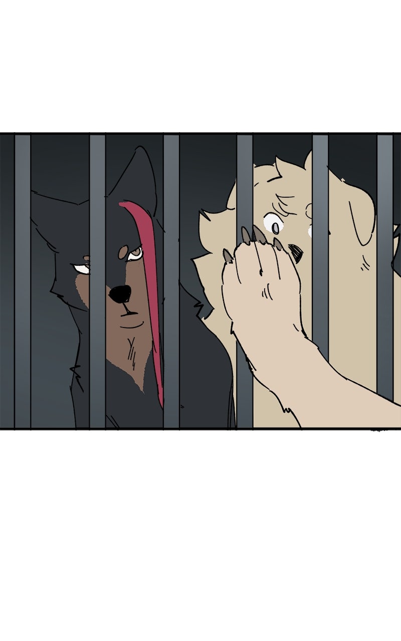 Read LUMINE Manga Online