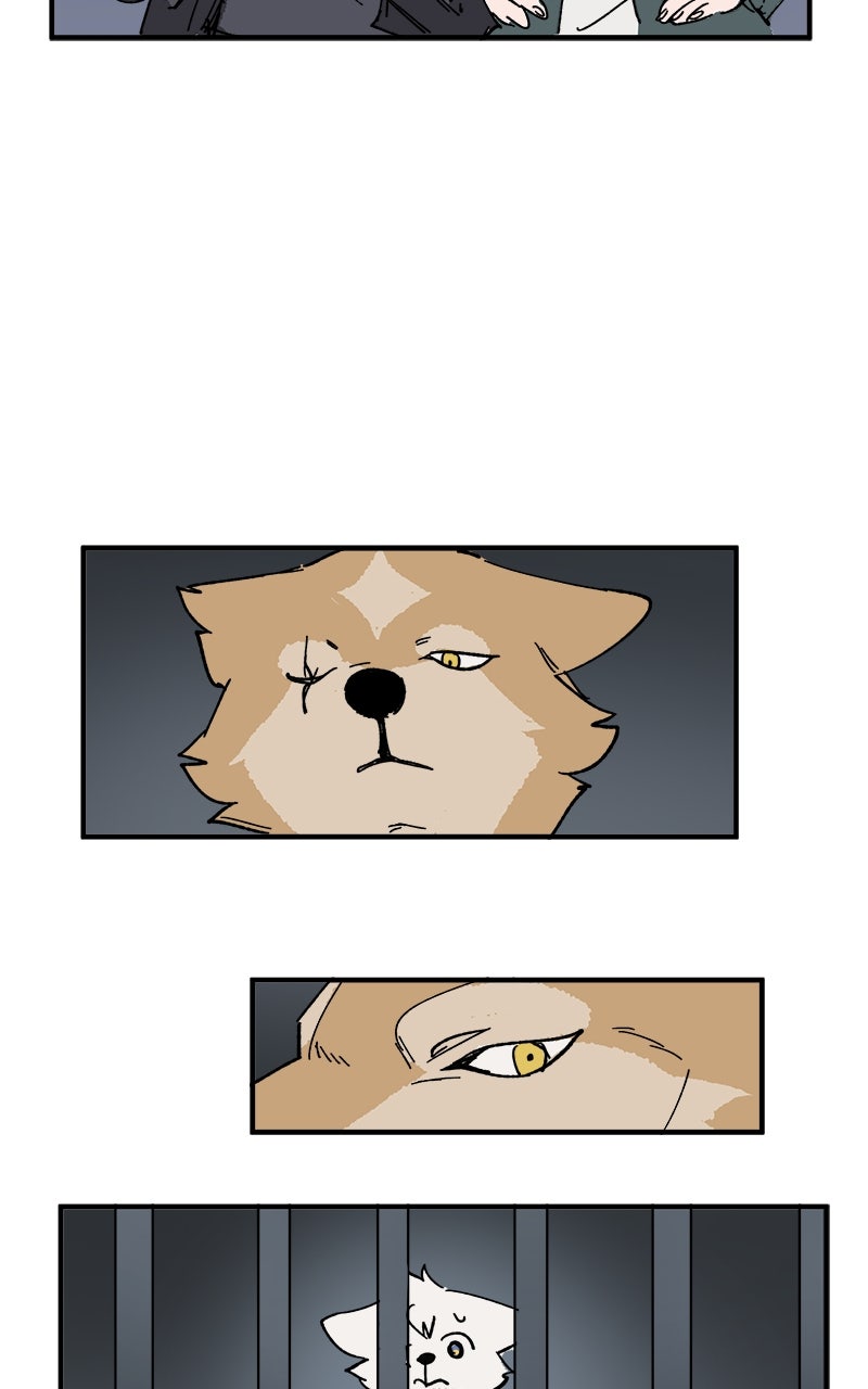 Read LUMINE Manga Online