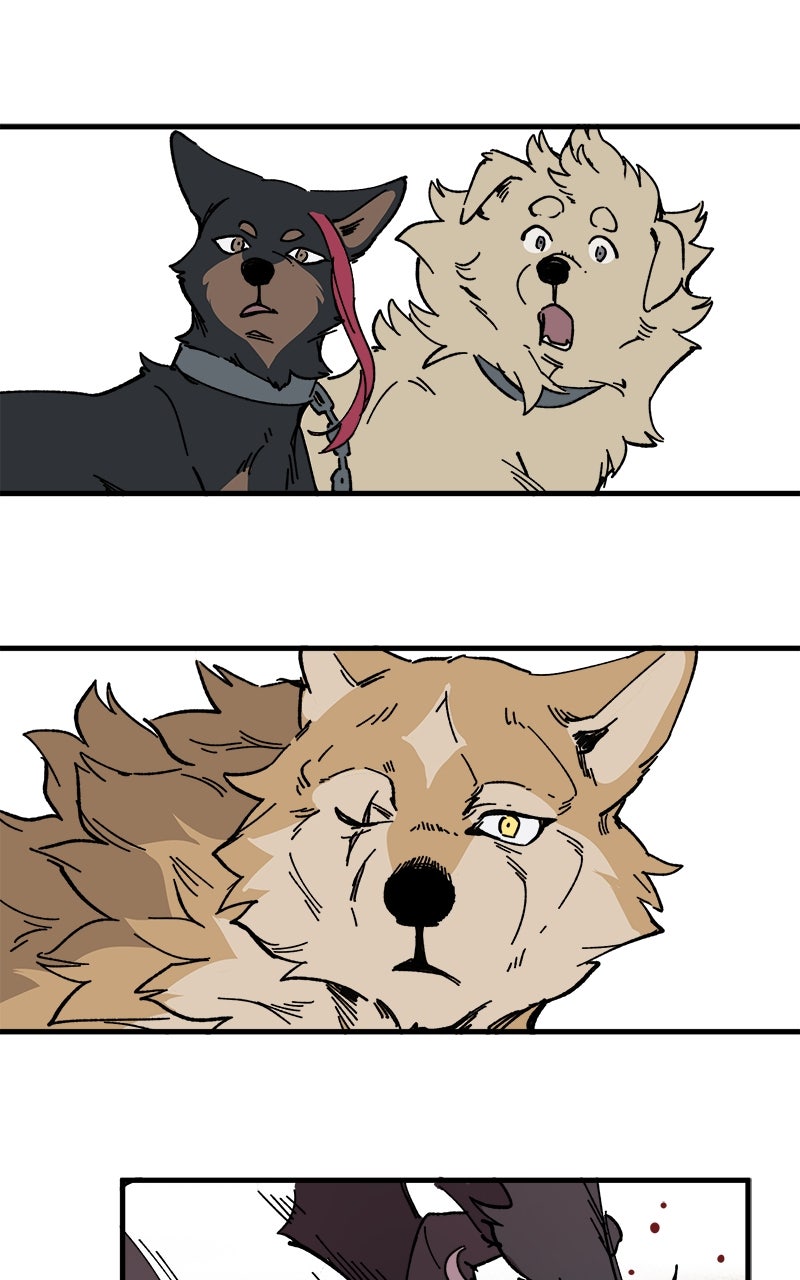 Read LUMINE Manga Online