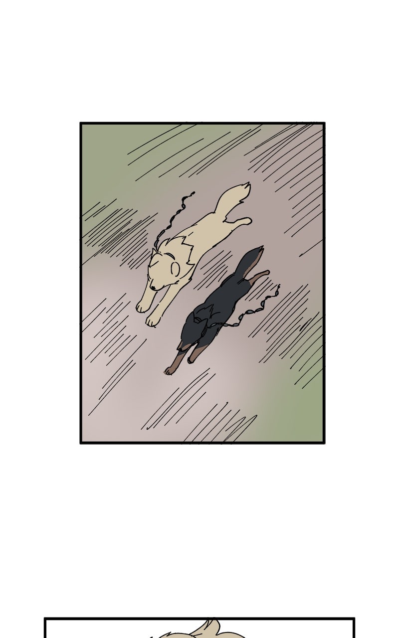 Read LUMINE Manga Online