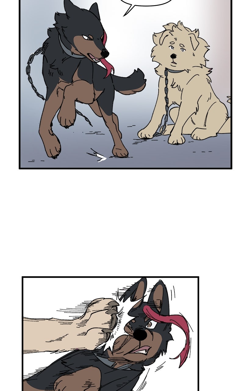 Read LUMINE Manga Online