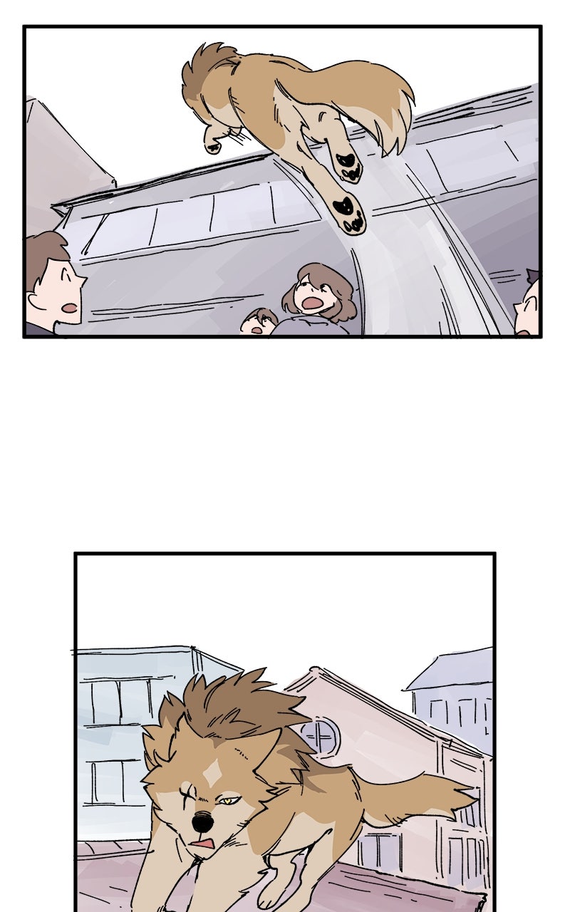 Read LUMINE Manga Online