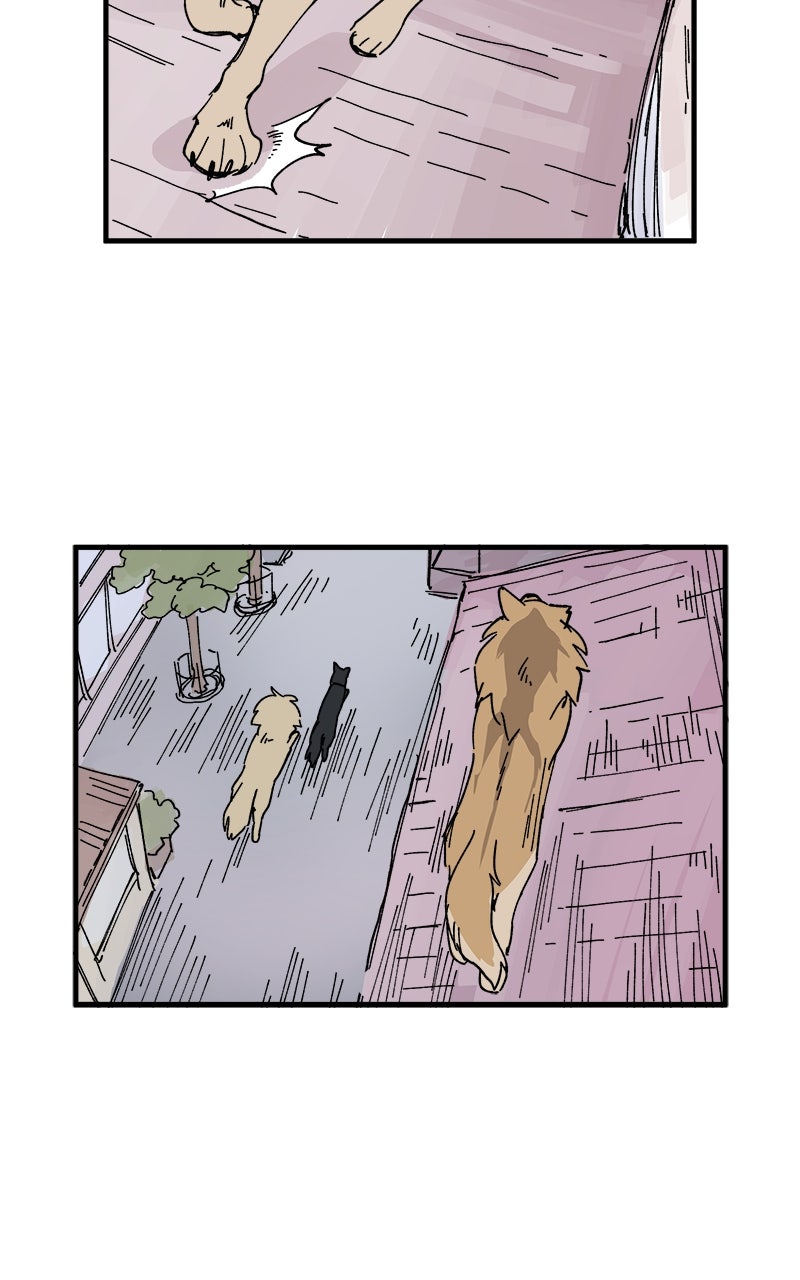 Read LUMINE Manga Online