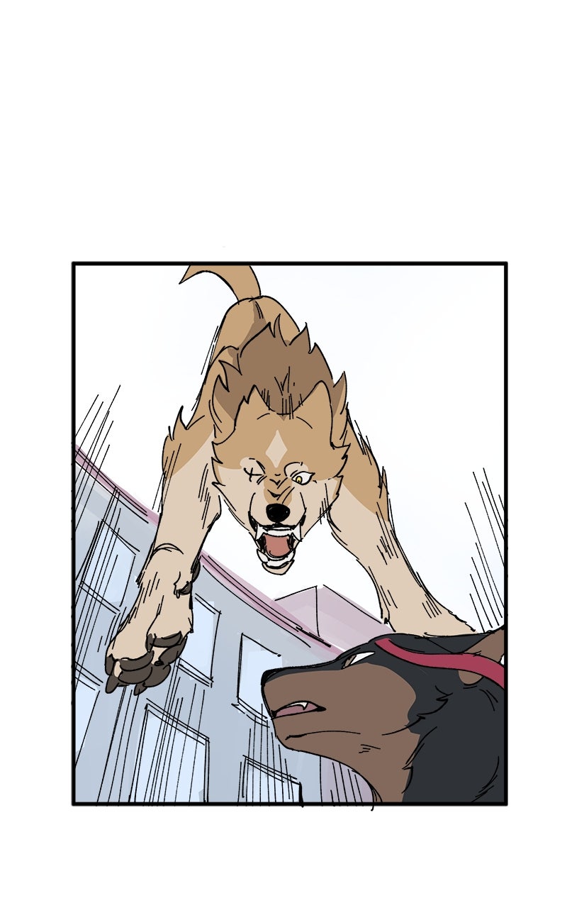 Read LUMINE Manga Online