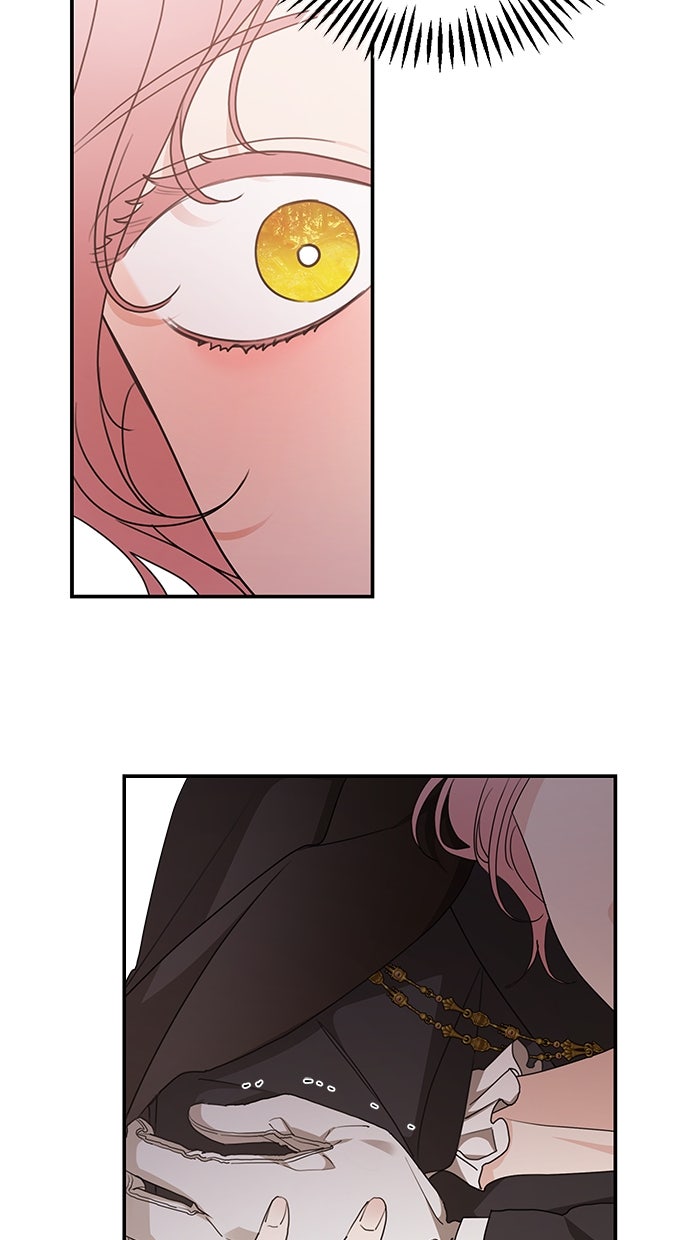 Read Meine Schwiegerfamilie ist besessen von mir Manga Online