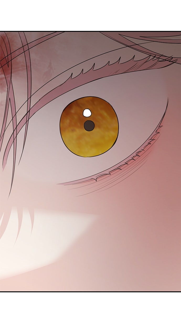 Read Meine Schwiegerfamilie ist besessen von mir Manga Online