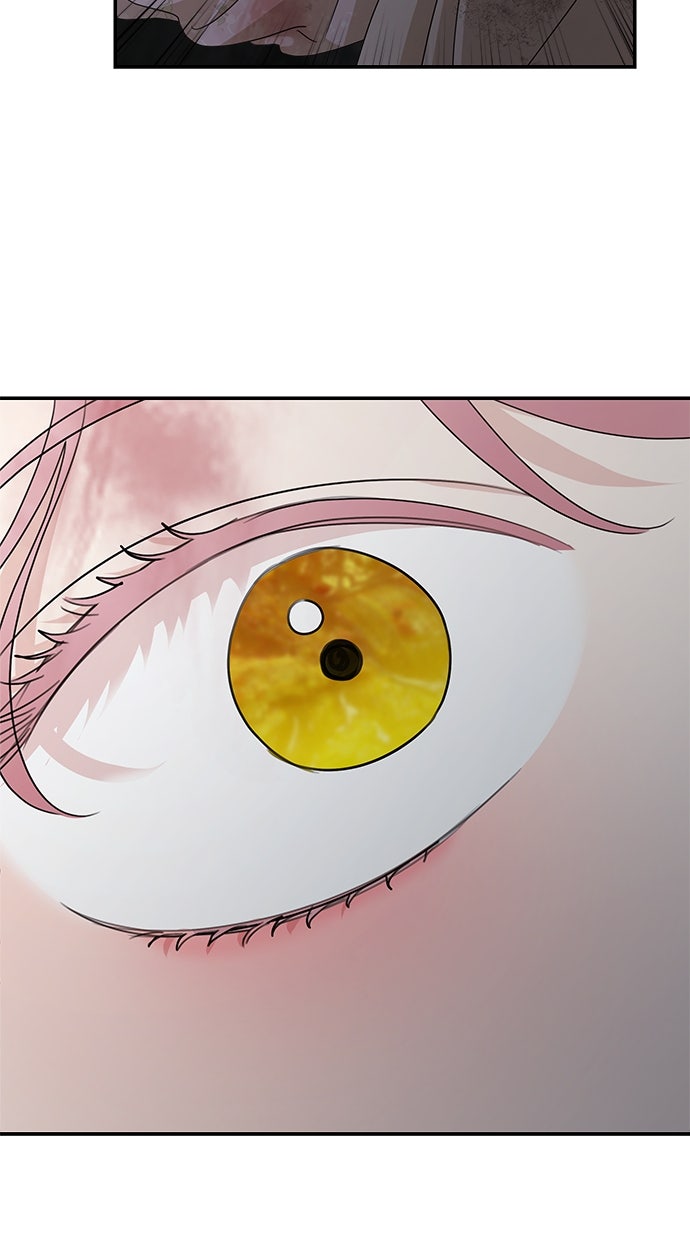 Read Meine Schwiegerfamilie ist besessen von mir Manga Online