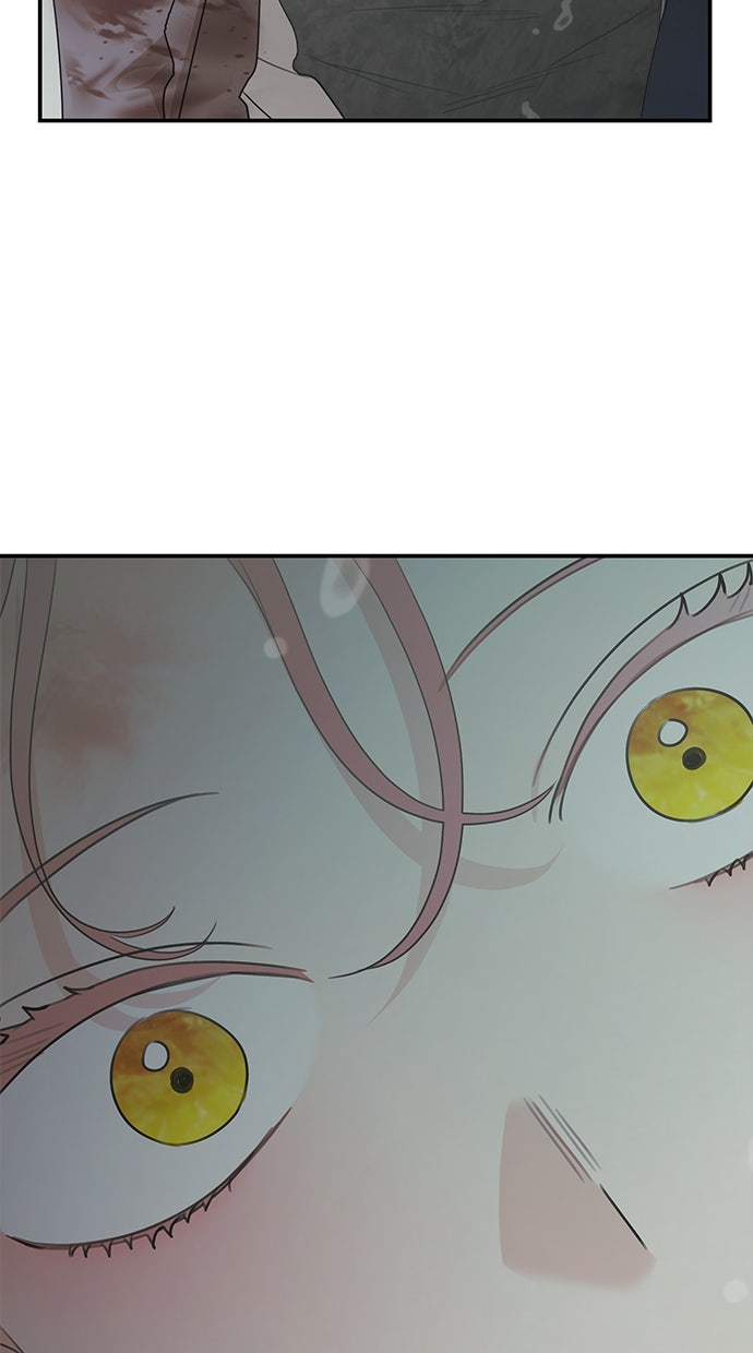 Read Meine Schwiegerfamilie ist besessen von mir Manga Online