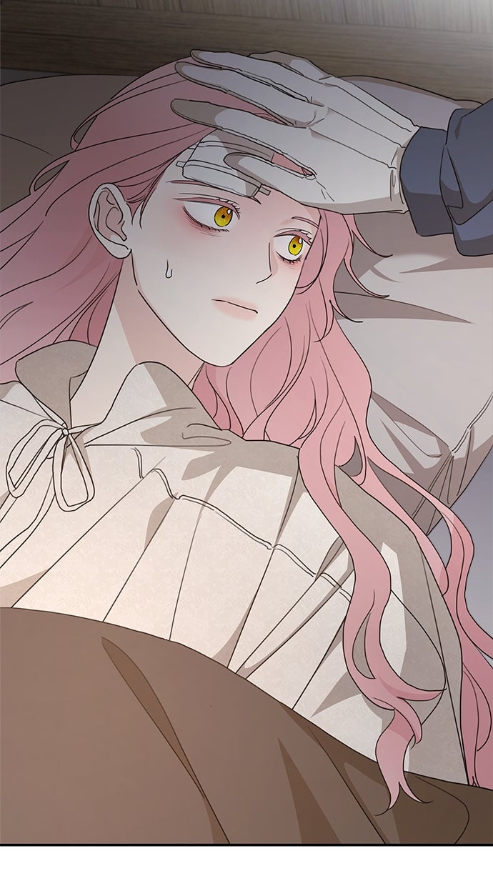 Read Meine Schwiegerfamilie ist besessen von mir Manga Online